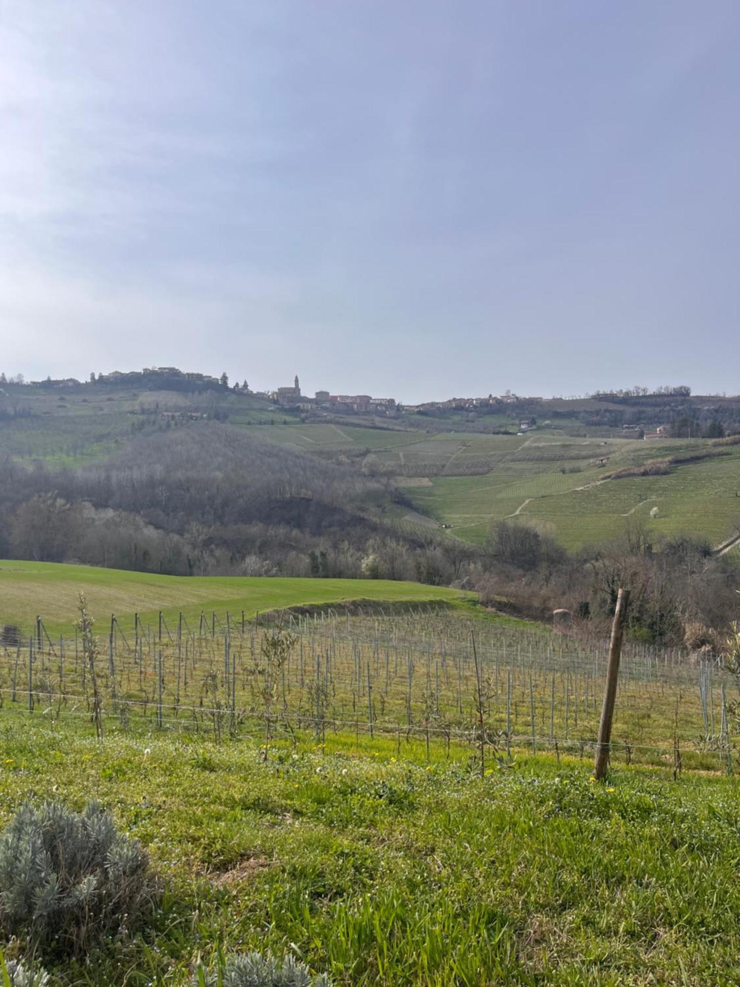 Le Cornici - Cascina Di Charme Hotel Diano dʼAlba Buitenkant foto