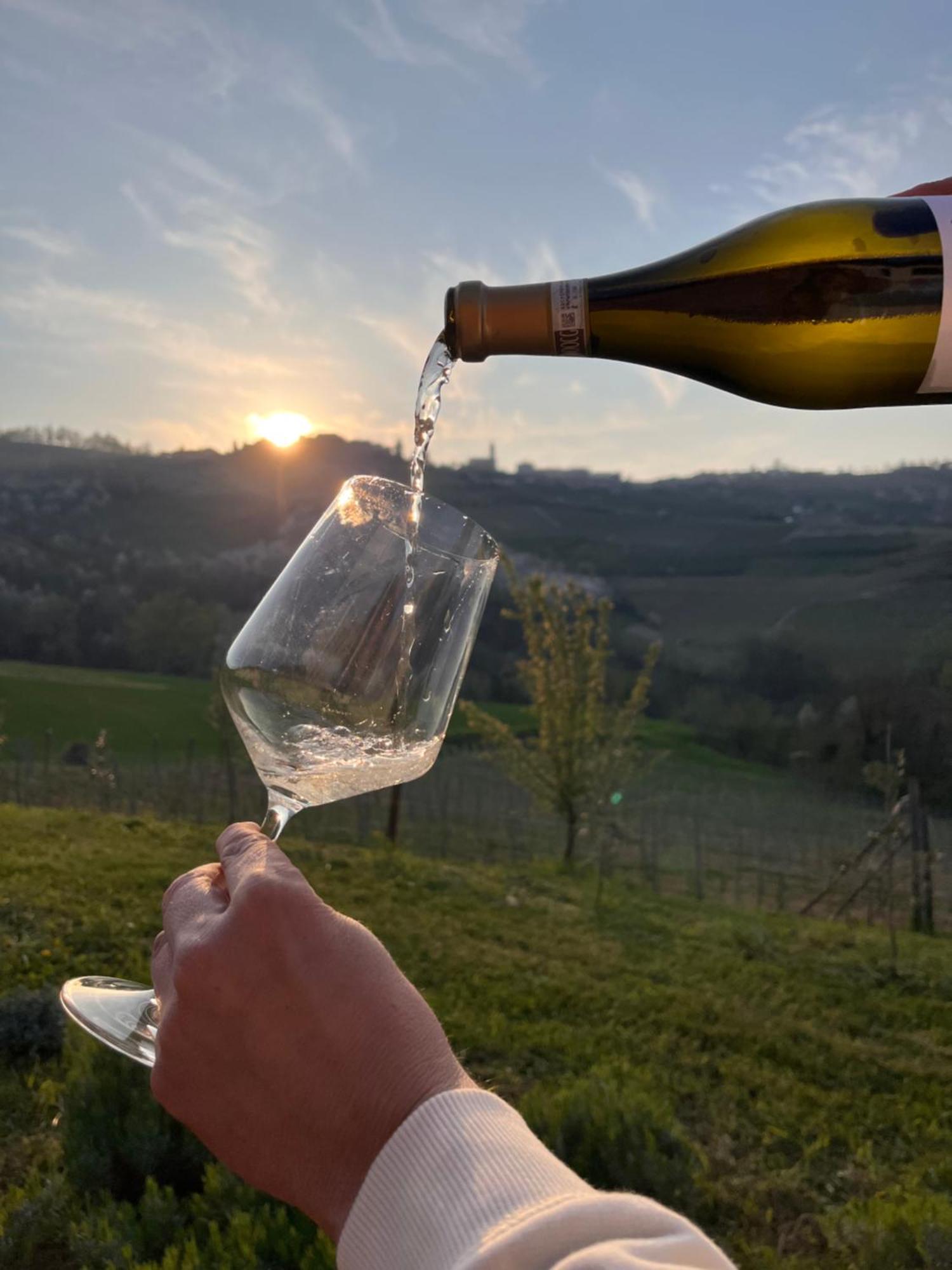 Le Cornici - Cascina Di Charme Hotel Diano dʼAlba Buitenkant foto